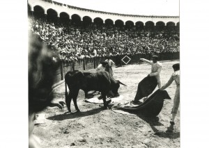 AHPSo 2448. JCyL.AHPSo. Foto Tiburcio Crespo Palomar. Archivo Carrascosa